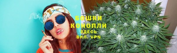 шишки Красноперекопск