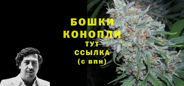 a pvp Краснослободск