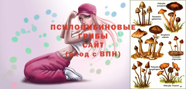 MDMA Premium VHQ Кулебаки