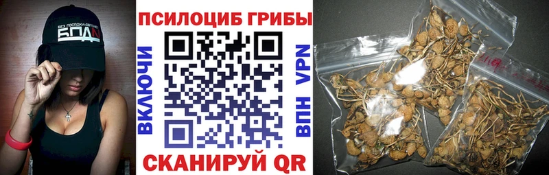 Галлюциногенные грибы ЛСД  Купить  Менделеевск 